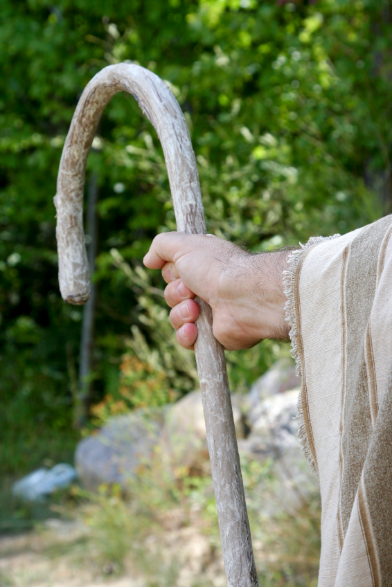 THE SHEPHERD’S STAFF | The Shepherd’s Staff