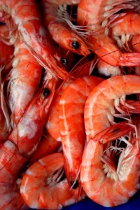 007  Yahweh Yireh (Provider) [shrimp] (3588742) (566 x 848)